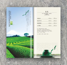 激發生命的香氣 捷達菜譜公司的飲品拍攝與設計藝術
